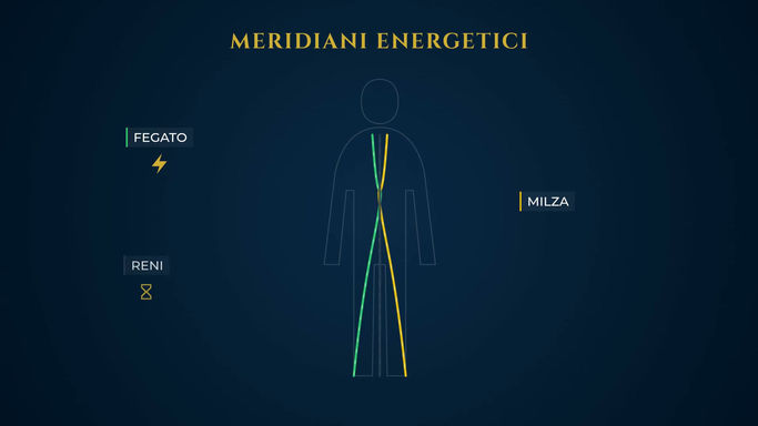 Vertigini_Lo_Script_Integrale_tra_Scienza_e_Tradizione_(10_Minuti)